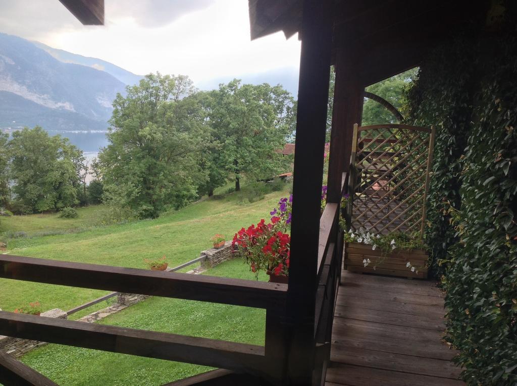 Il Ciliegio Selvatico *