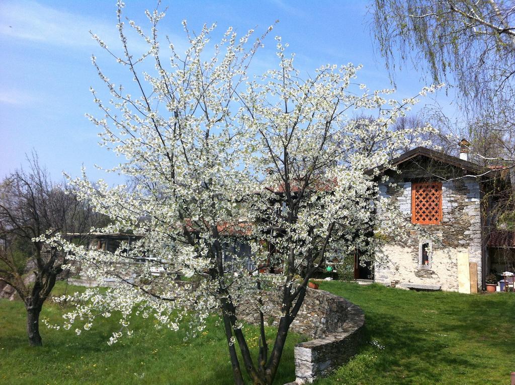 Appartement Il Ciliegio Selvatico Verbania