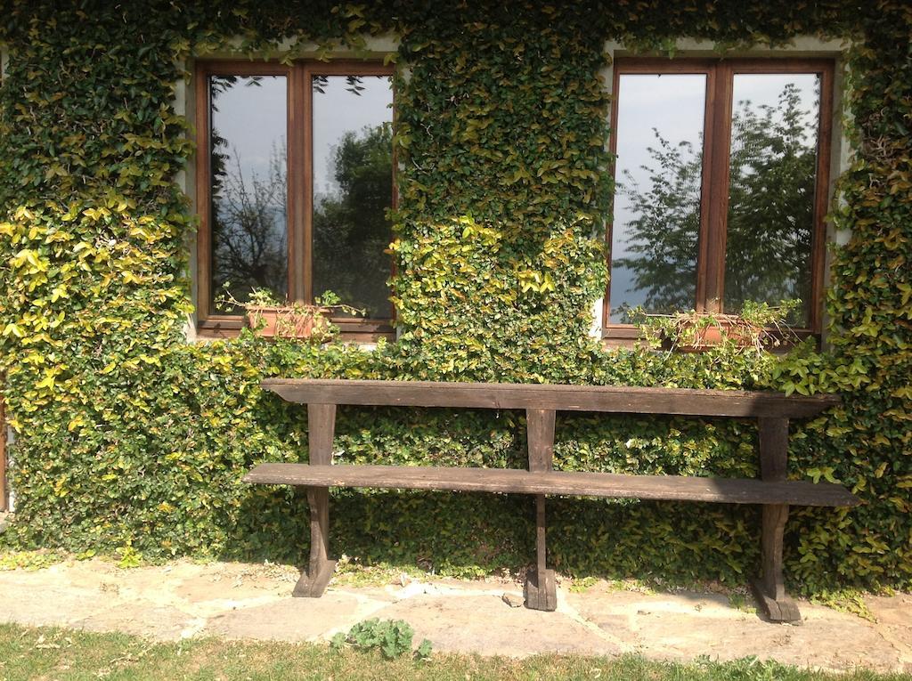Apartment Il Ciliegio Selvatico Verbania