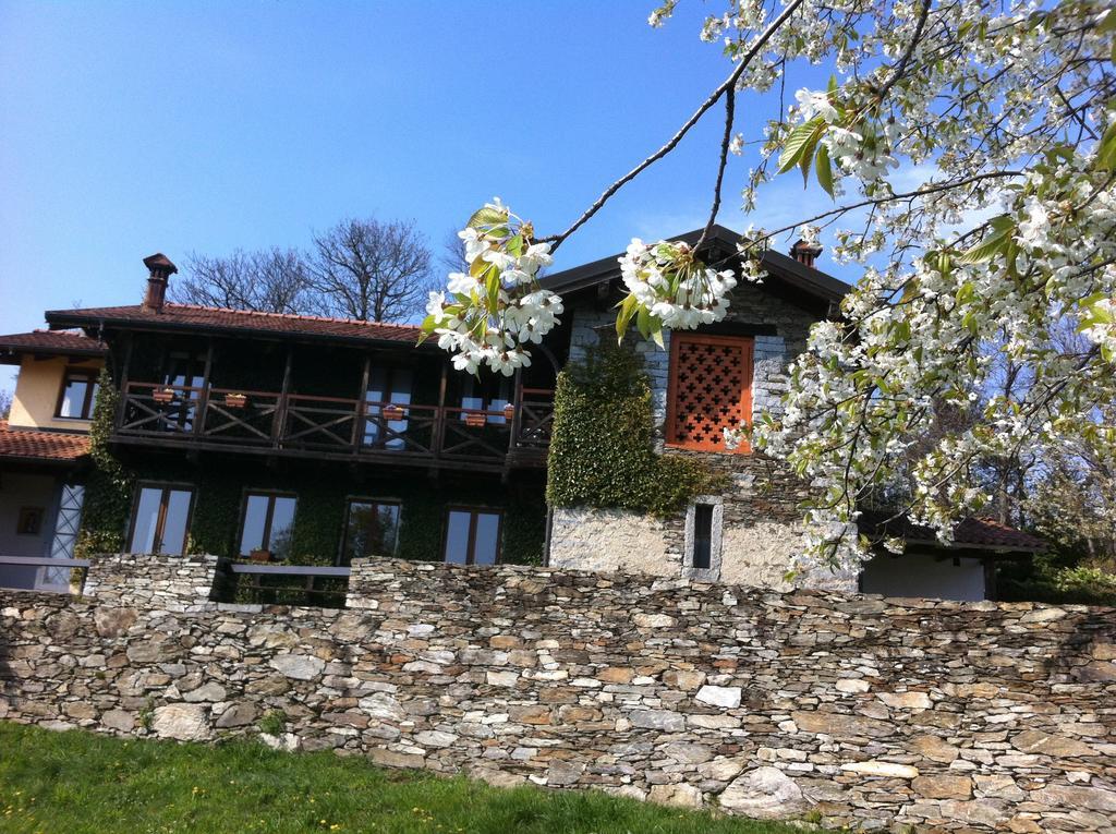 Apartment Il Ciliegio Selvatico