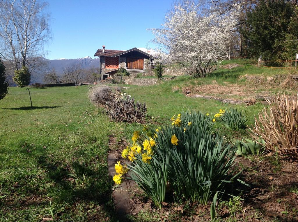 Appartement Il Ciliegio Selvatico