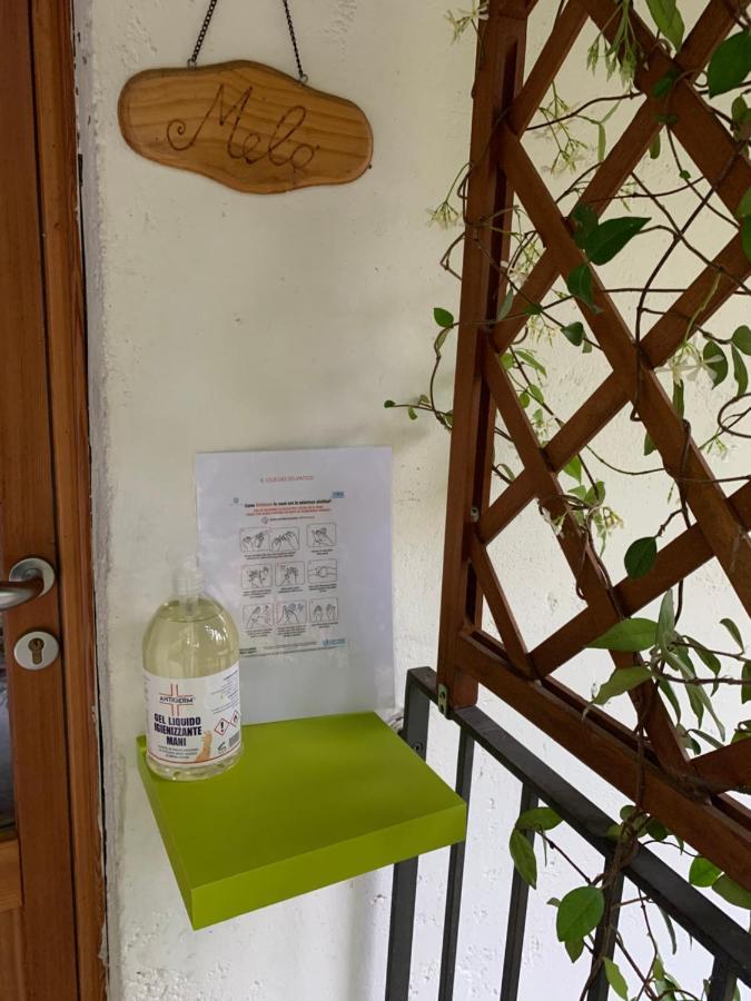 Il Ciliegio Selvatico Apartment Verbania