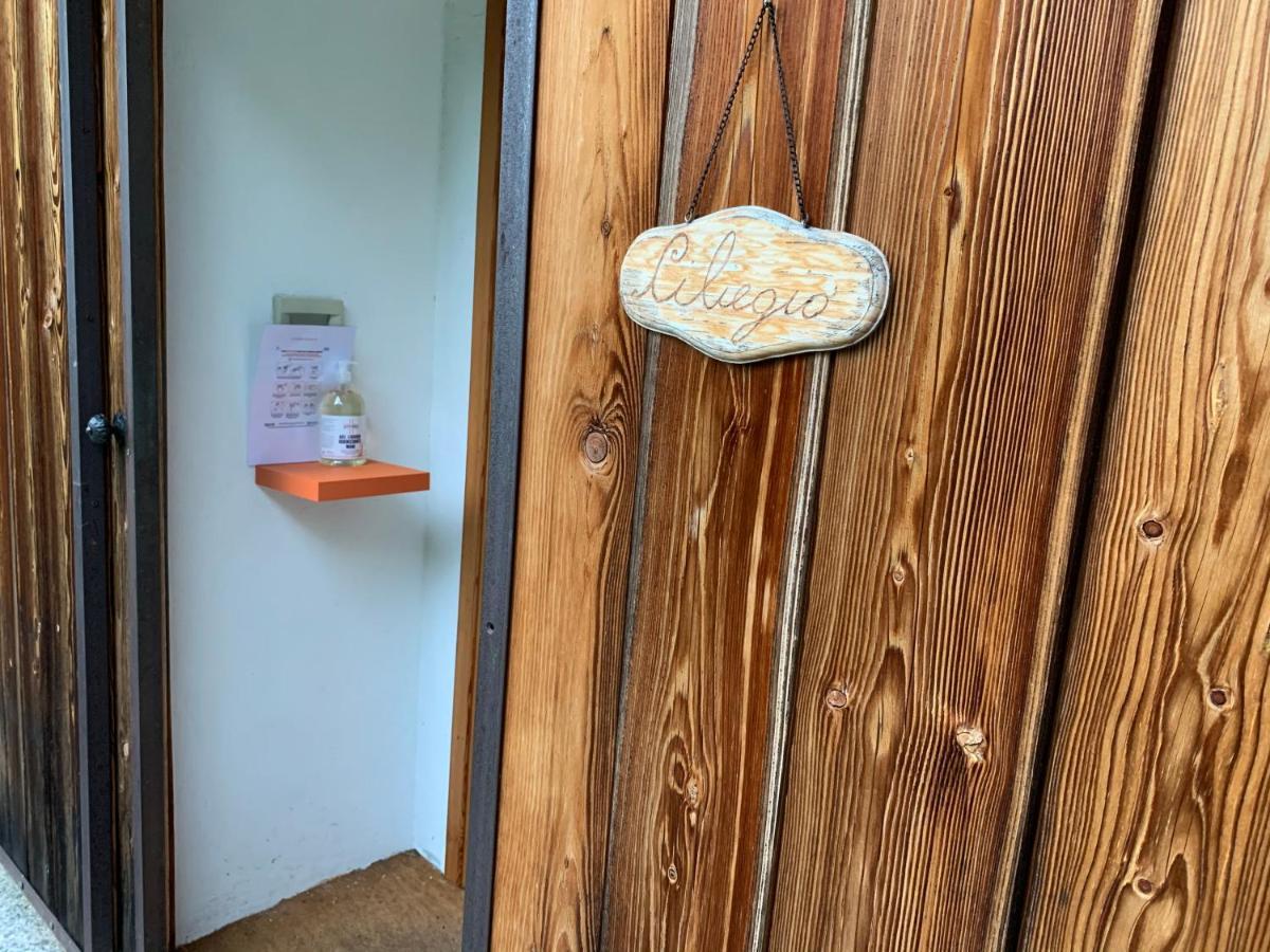 Il Ciliegio Selvatico Verbania